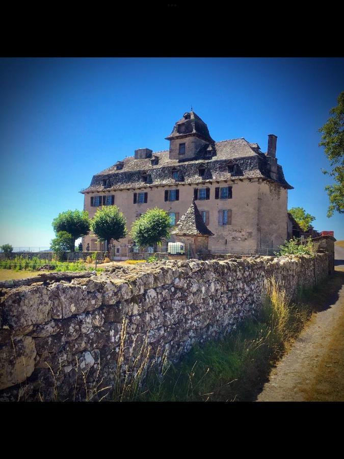 Chateau De Cours Sénezergues Zewnętrze zdjęcie